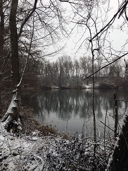 Landschaftsbild im Winter, es sind ein paar kahle Bäume zu sehen, ein Ausschnitt von einem See und ein wenig schnee. Es ist trüb an diesem Tag.